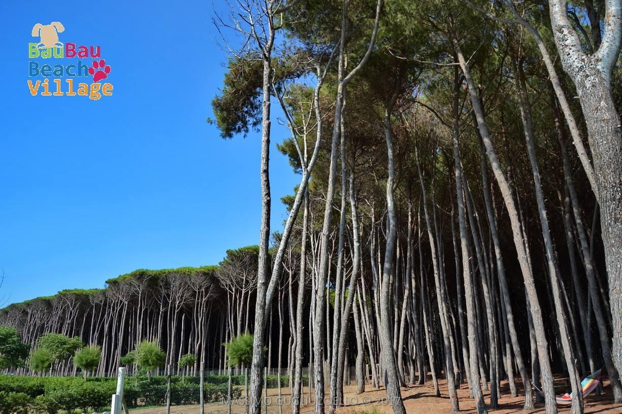 Bau Bau Beach Village Foce del Sele Exteriér fotografie